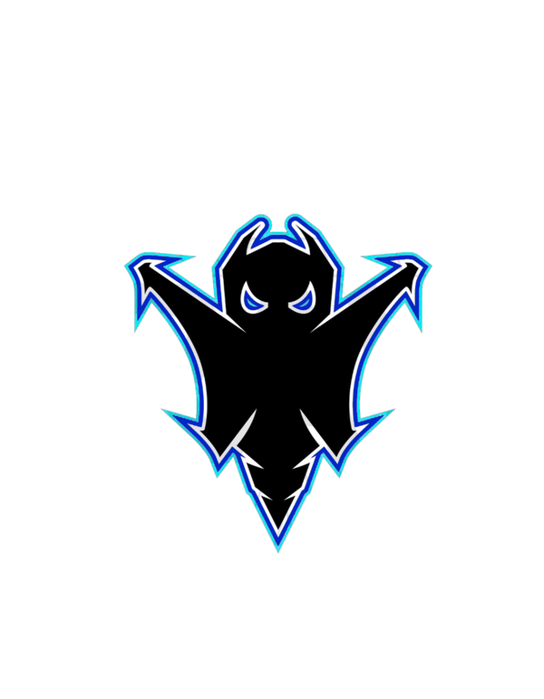 Black Hornet Athletics